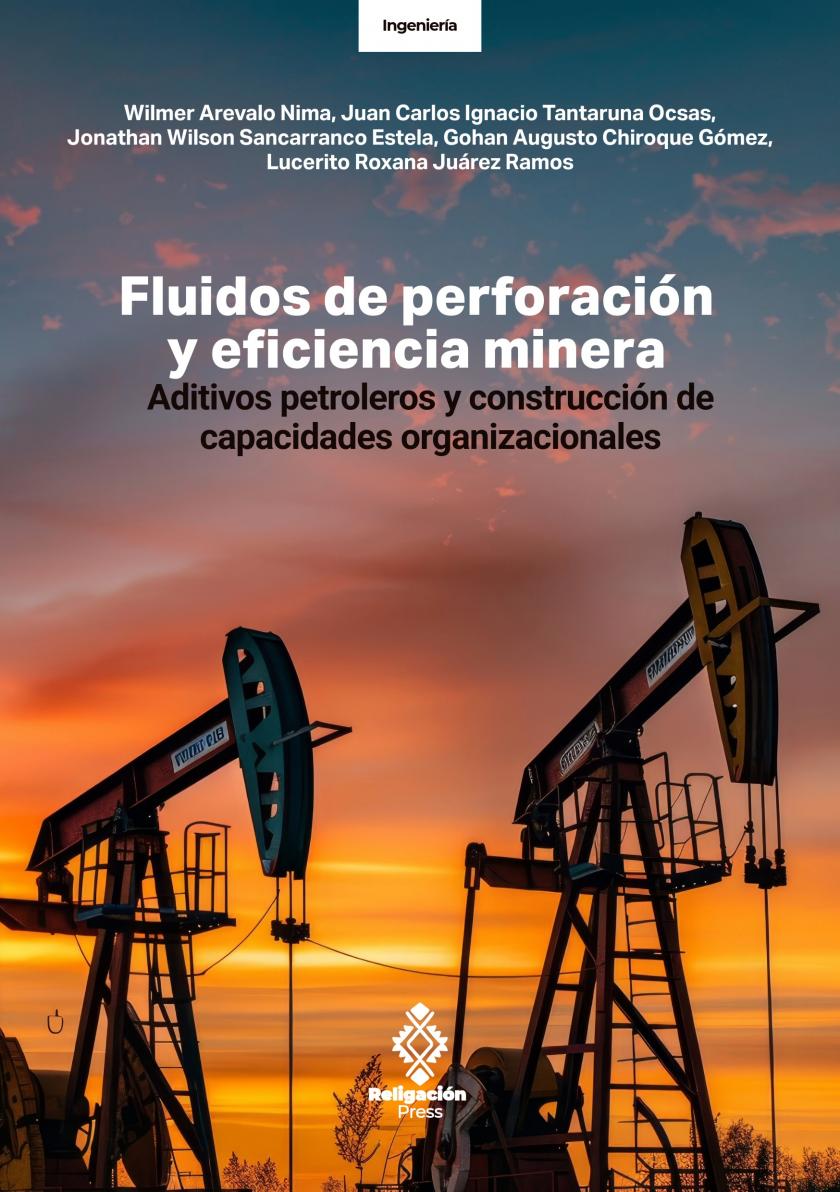 Fluidos de perforación y eficiencia minera. Aditivos petroleros y construcción de capacidades organizacionales